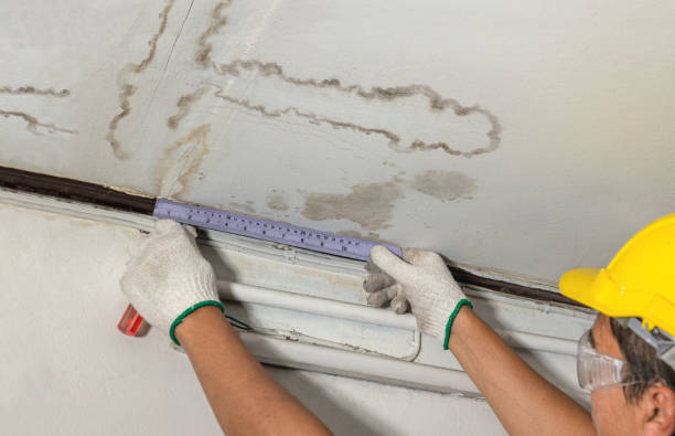 Reliable Emergency Water Damage Restoration contractor in Ashland, OR by Water Damage Irwin